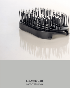 ���� ����� ������ ����� ��